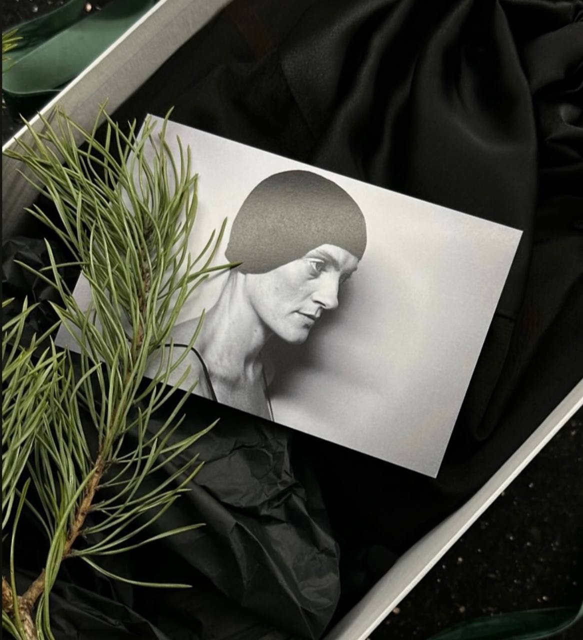 close-up of green plant